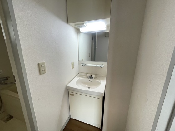 洗面設備　※別号室の写真です。