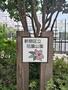 公園　新宿区立花園公園（公園）まで110m