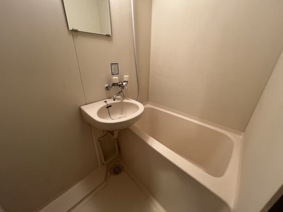 バス・シャワールーム　※別部屋の写真です