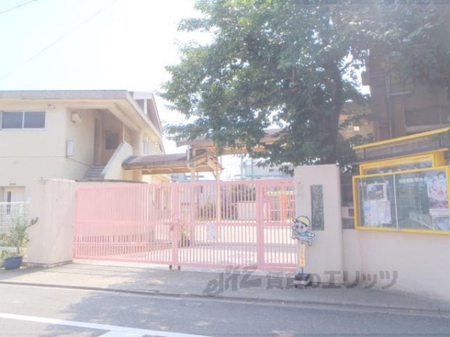 小学校　柏野小学校（小学校）まで290m