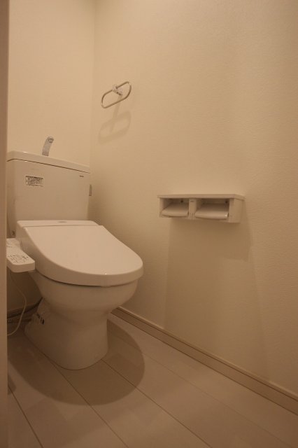 トイレ　同物件、別号室のものです。
