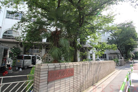 小学校　文京区立湯島小学校（小学校）まで416m