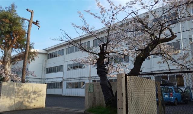 小学校　鎌倉市立大船小学校（小学校）まで260m