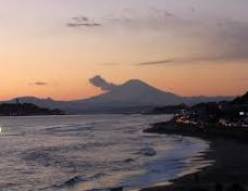 公園　鎌倉海浜公園（公園）まで1207m