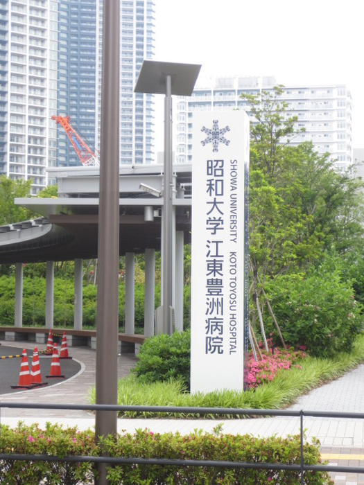 病院　昭和大学江東豊洲病院（病院）まで1100m