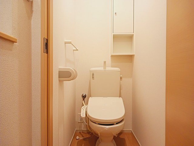 トイレ　トイレも気になるポイント