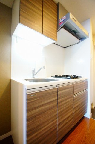 キッチン　料理が好きな方におすすめの「２口ガスシステムキッチン」