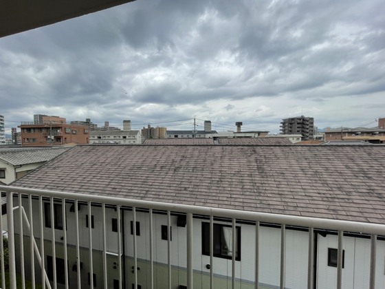 眺望　※別部屋の写真です