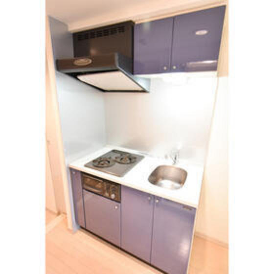 キッチン　２２０号室のお写真となります