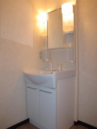 洗面設備　シャワードレッサー付きです！