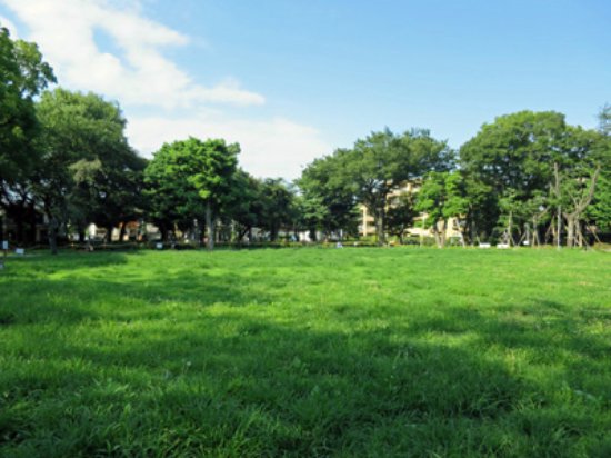 公園　文庫の森（公園）まで553m