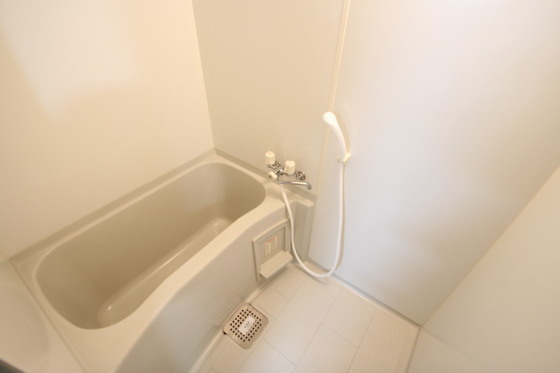 バス・シャワールーム　※別部屋の写真です