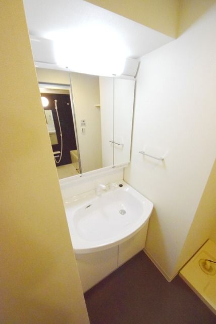 洗面設備　203号室　独立洗面所