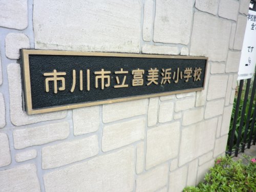 小学校　市川市立富美浜小学校（小学校）まで203m