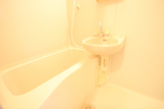 バス・シャワールーム　※他部屋の写真です。