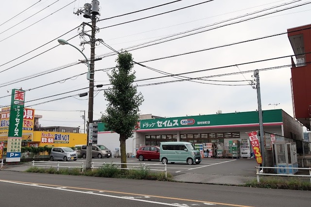 ドラックストア　ドラッグセイムス羽村栄町店（ドラッグストア）まで668m