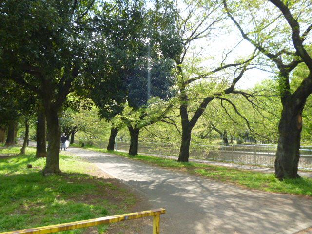 公園　善福寺緑地（公園）まで280m