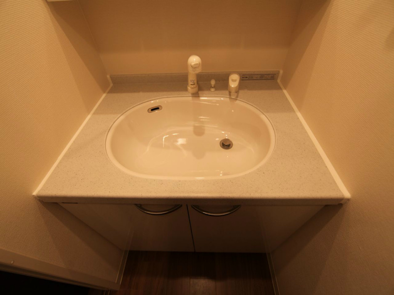 洗面設備　脱衣所　独立洗面台付（シャンプードレッサー付）