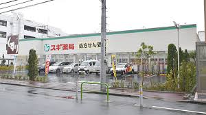 ドラックストア　スギ薬局志村坂下店（ドラッグストア）まで303m