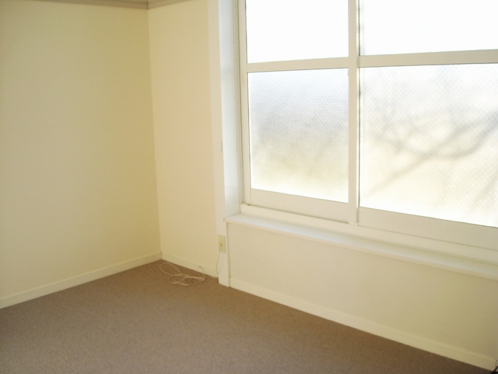 居室・リビング　1Fの写真です。