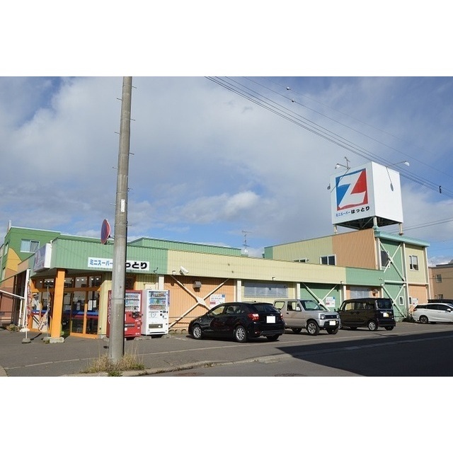 スーパー　ミニスーパーはっとり（スーパー）まで700m