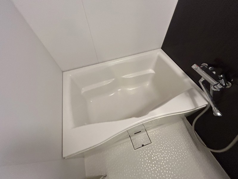 バス・シャワールーム　※２０６号室の写真です。