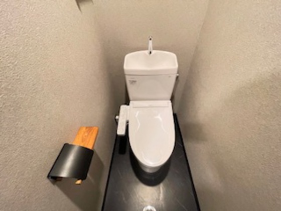 トイレ　※別部屋の写真です