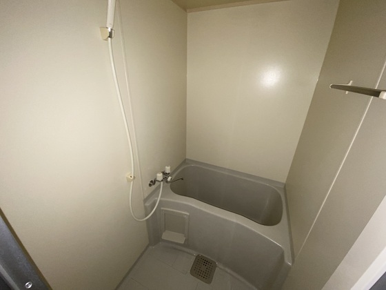 バス・シャワールーム　※別部屋の写真です