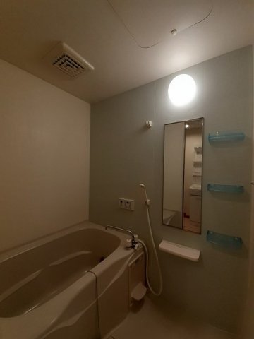 バス・シャワールーム　落ち着いた空間のお風呂です