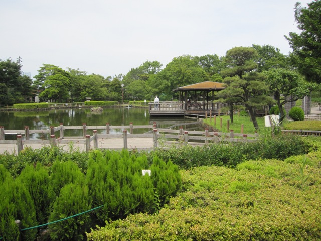 公園　荒川公園（公園）まで373m