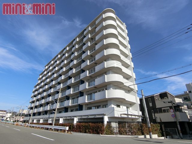 建物外観　キレイな分譲マンション