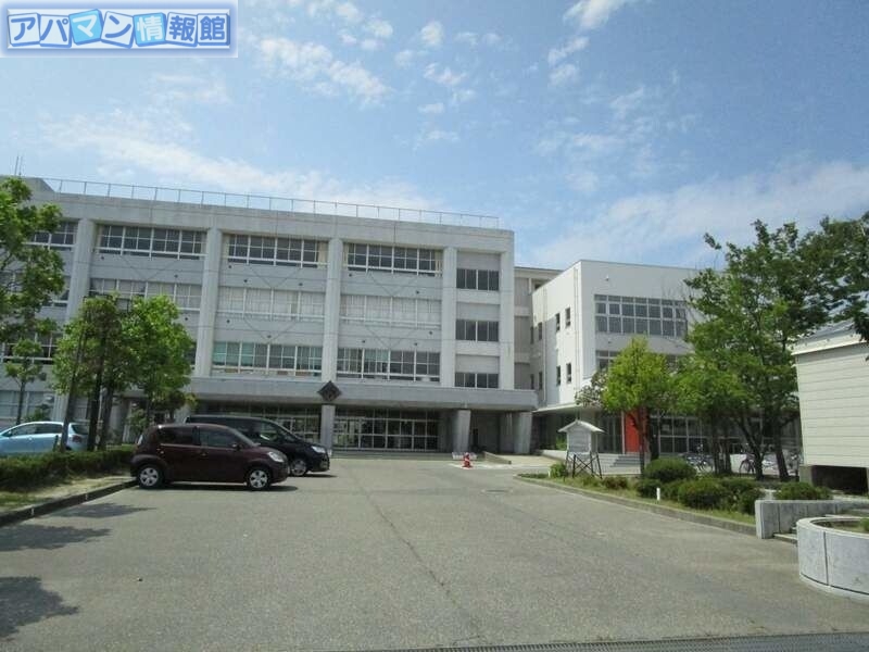 小学校　新潟市立小針小学校（小学校）まで283m