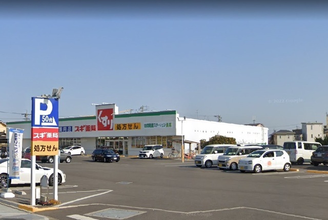 ドラックストア　スギ薬局長草店（ドラッグストア）まで675m