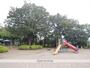 その他　新田公園（その他）まで250m