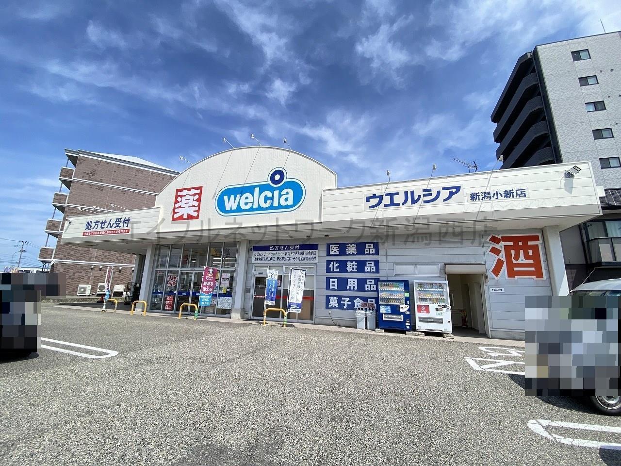 ドラックストア　ウエルシア新潟小新店（ドラッグストア）まで664m