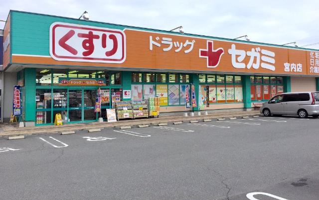その他　ドラッグセガミ宮内店（その他）まで748m