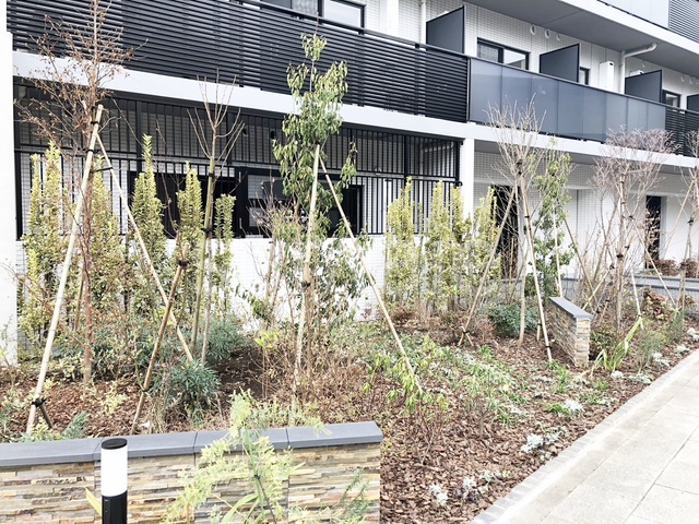 その他　植栽です☆