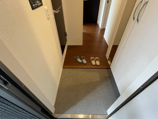 玄関　同仕様写真