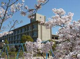 小学校　広野小学校（小学校）まで537m