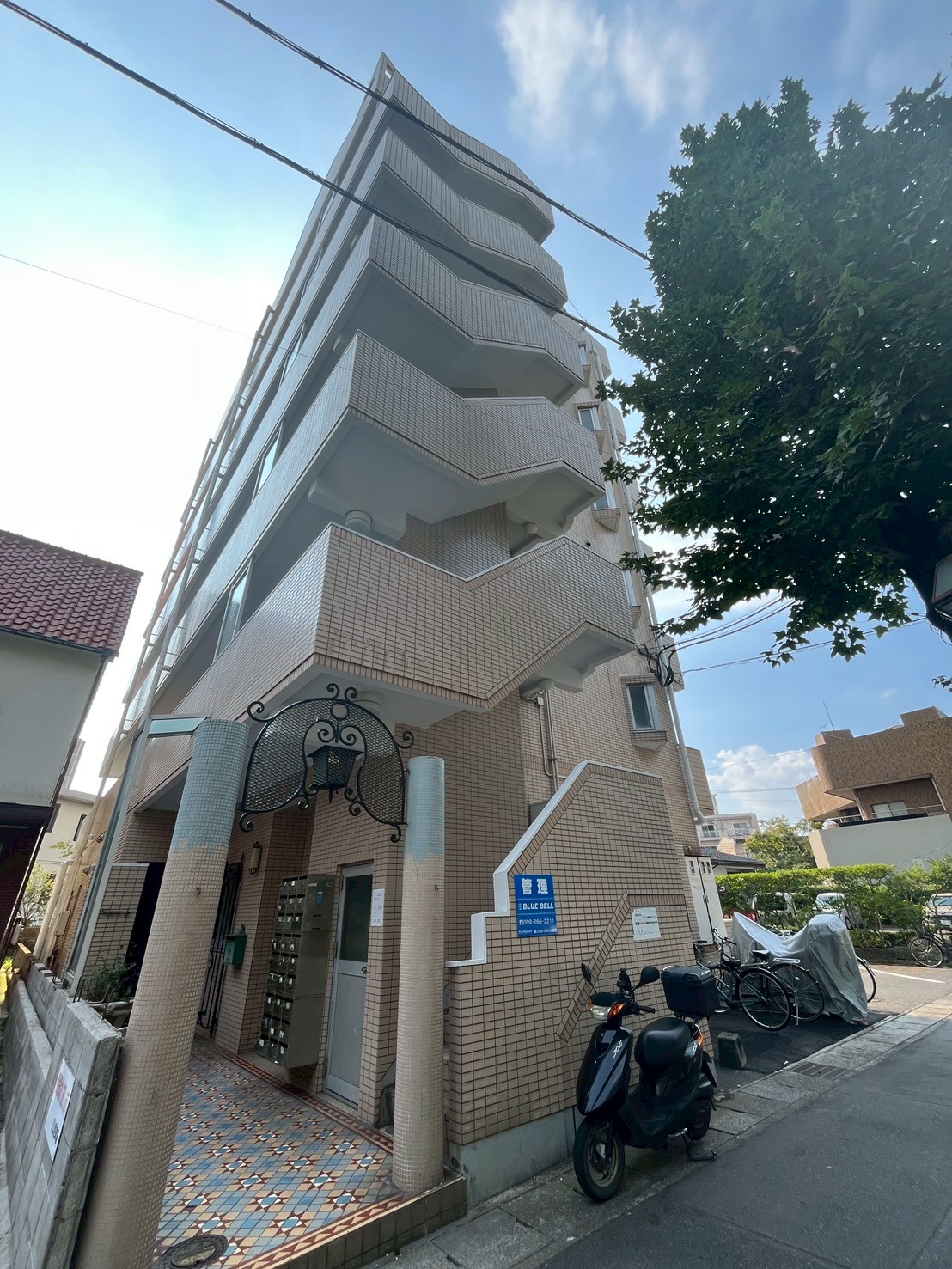 庭