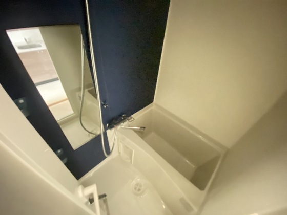 バス・シャワールーム　※別部屋の写真です