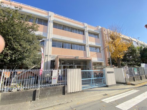小学校　高石市立羽衣小学校（小学校）まで386m