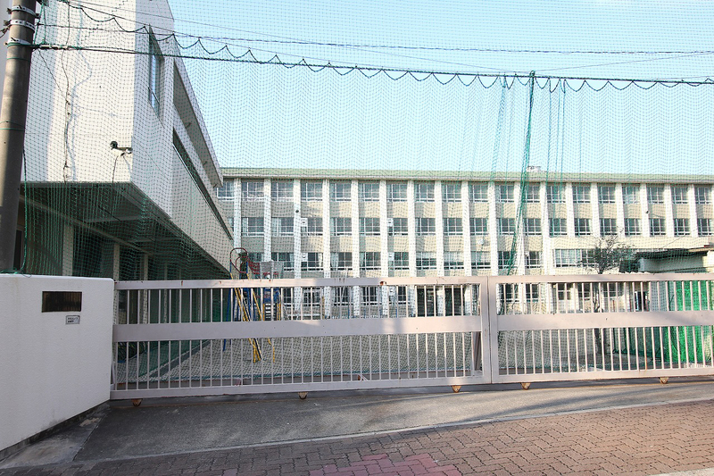 小学校　白鳥小学校（小学校）まで919m