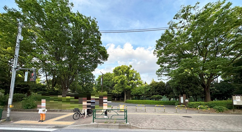 公園　木場公園（公園）まで605m