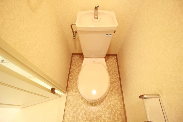ロイヤル八尾のトイレ写真