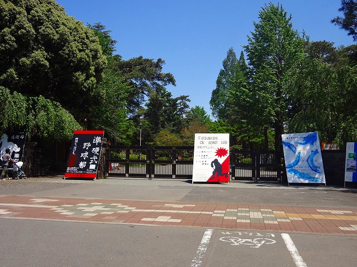 高校・高専　国立一橋大学（高校・高専）まで800m