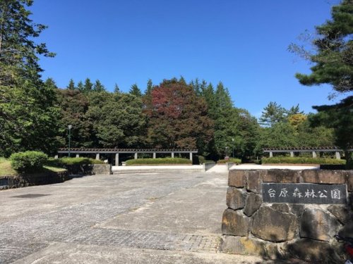 公園　台原森林公園(台原入口)（公園）まで403m