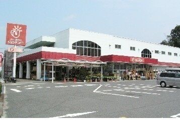 ホームセンター　ジュンテンドー五日市店（ホームセンター）まで900m