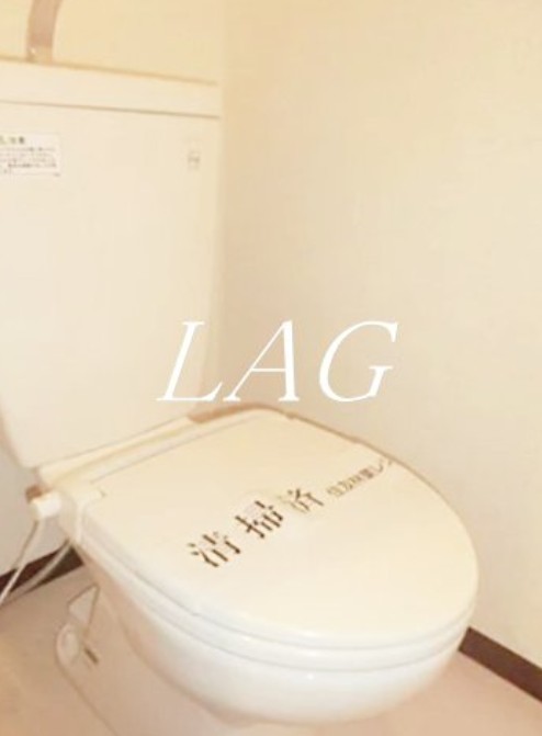 トイレ　トイレです。（同仕様です。）