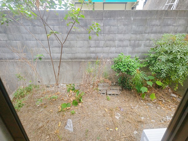 庭